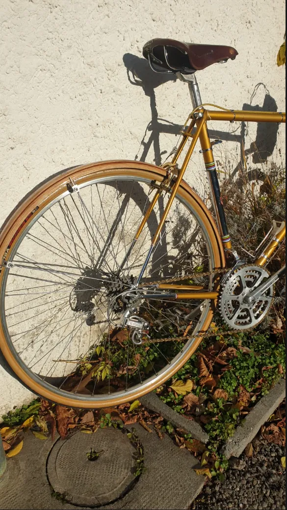 Cometti Randonneuse — photo 10 sur 10