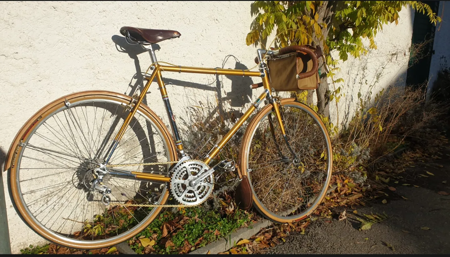 Cometti Randonneuse — photo 2 sur 10