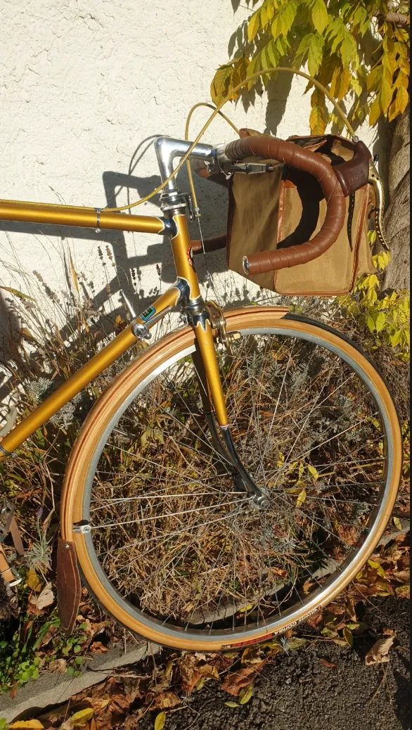 Cometti Randonneuse — photo 7 sur 10