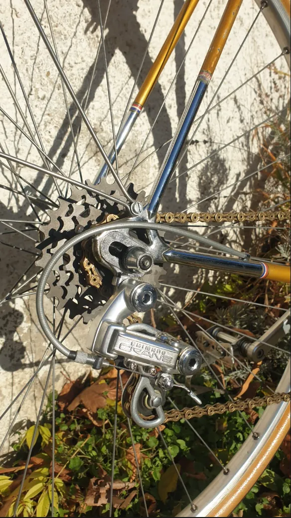 Cometti Randonneuse — photo 9 sur 10